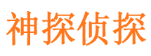 宁都市私家侦探